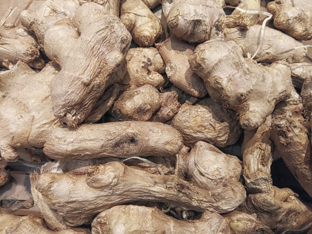 dried ginger